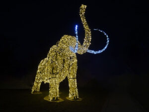 Elefant, Michael Basch