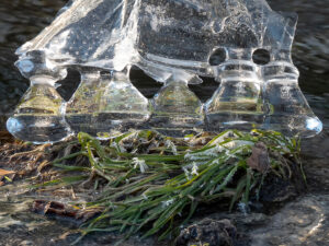 Eisskulptur, Raimund Fassl