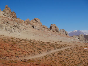Hochgebirgswüste, Judith Basch