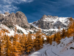 Wintereinbruch, Raimund Fassl