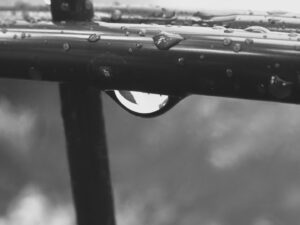 Wassertropfen, Judith Basch