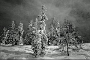 Winterpracht, Peter Nick