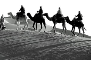 Karawane, Peter Nick