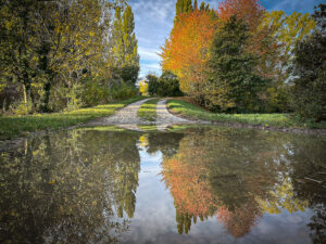 Pfützenspiegelung, Raimund Fassl