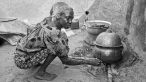 Schnapsbrennerei auf dem Reissbrett, Elfriede Hotko